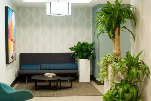 Renovations-05 Renovations-05